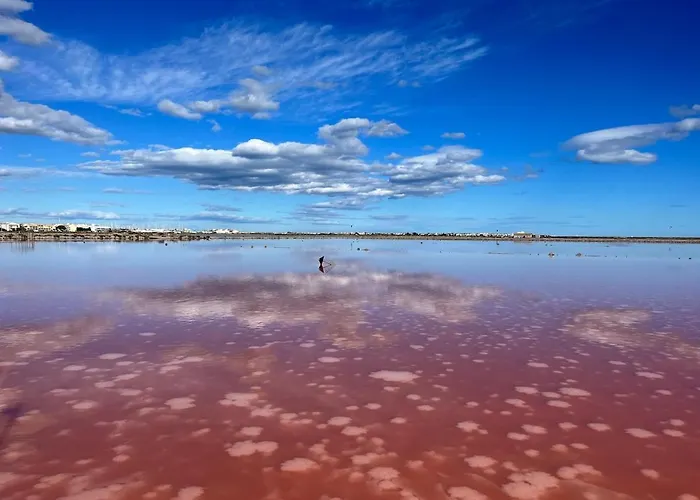 Διαμέρισμα Rdc Avec Piscine Wifi Parking Clim Gruissan